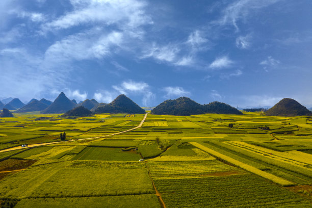 油菜花大地田园景观