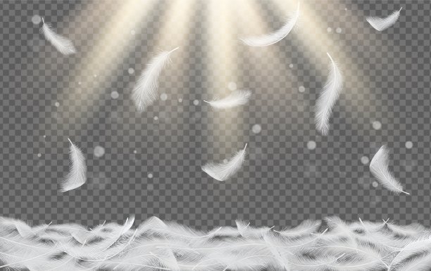 feathers