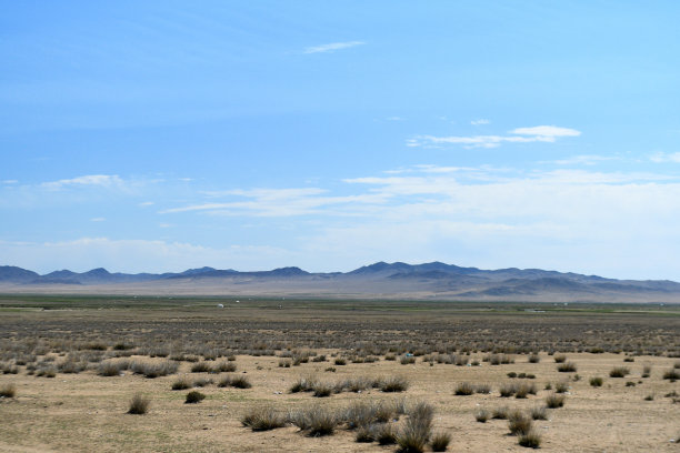 沙漠环境
