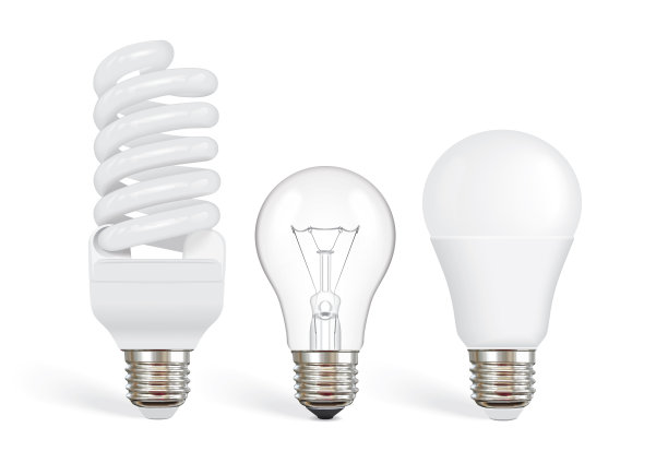 bulbs