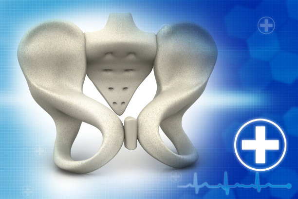 pelvis