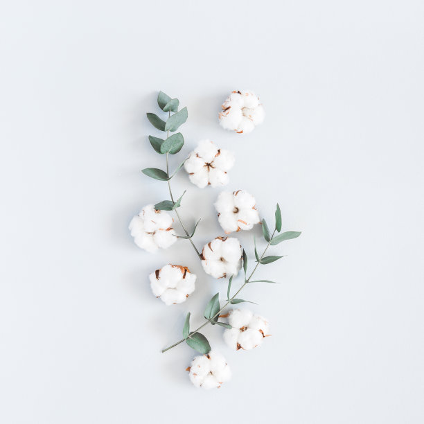 cotton