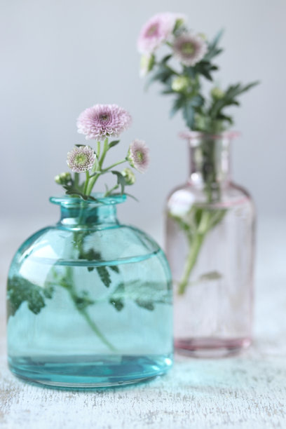 菊花与花瓶
