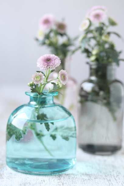 菊花与花瓶