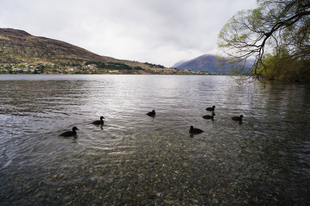 wakatipu