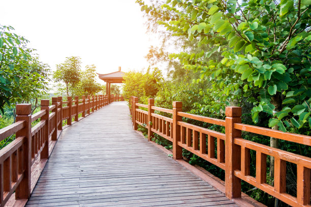 boardwalk