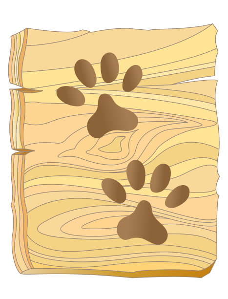 动物脚印矢量图