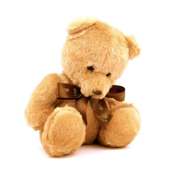 teddy
