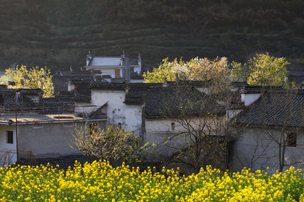 建筑田野