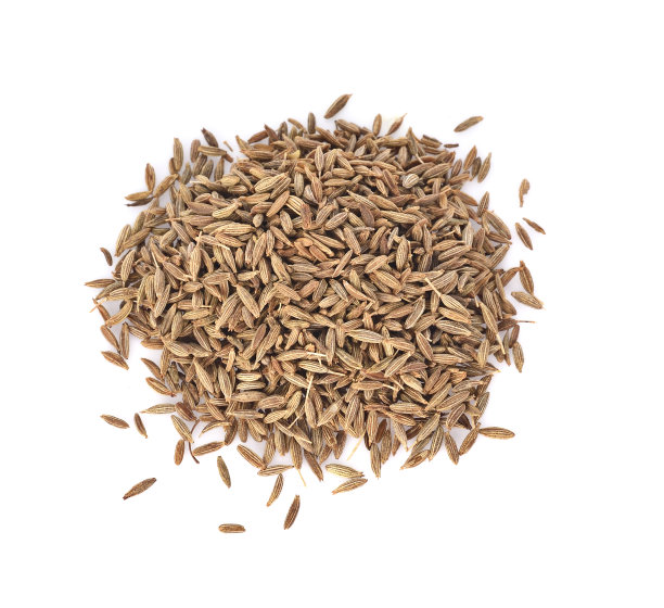 fennel