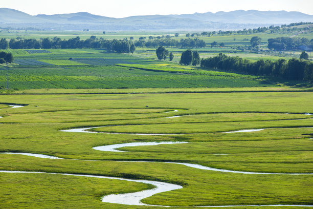 wetland