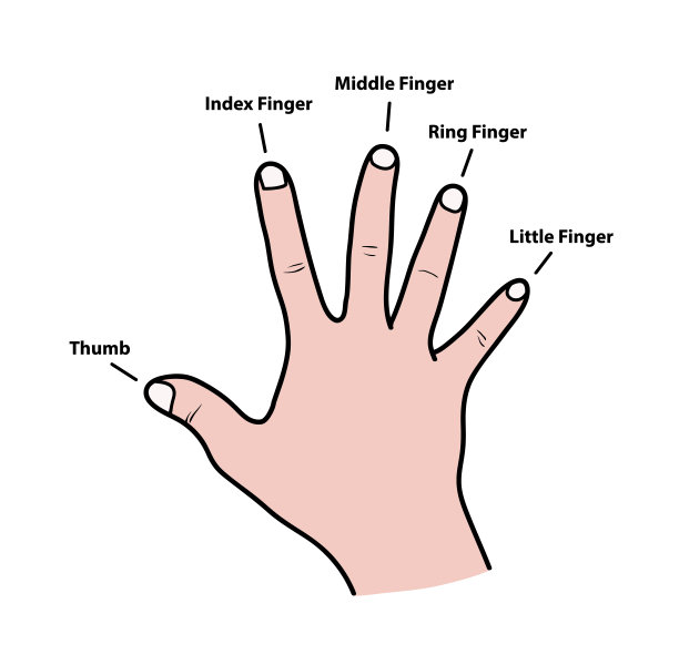 手指戒子
