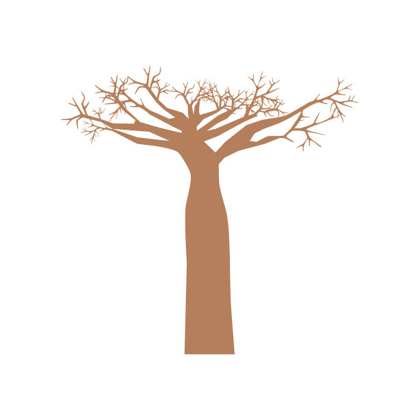 baobab