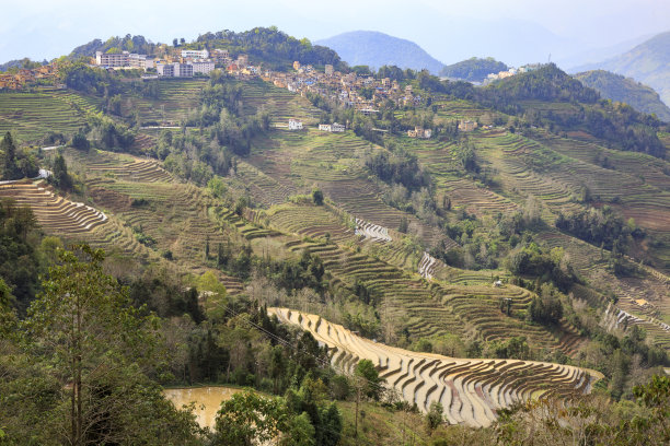 迷雾山村