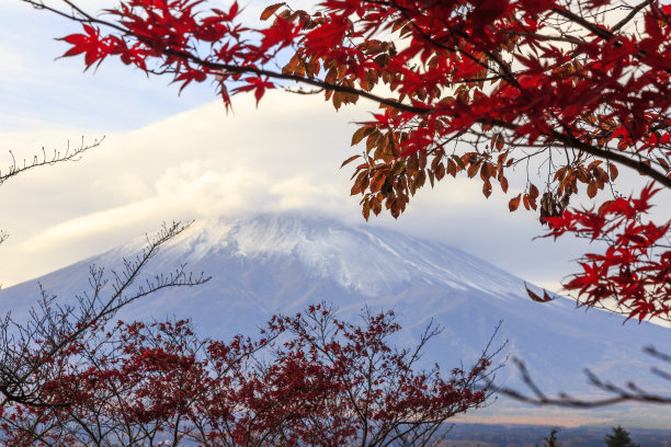 富士河口湖