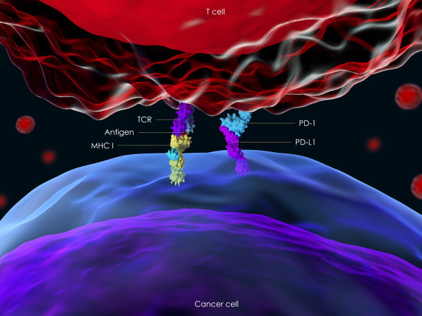 cd4