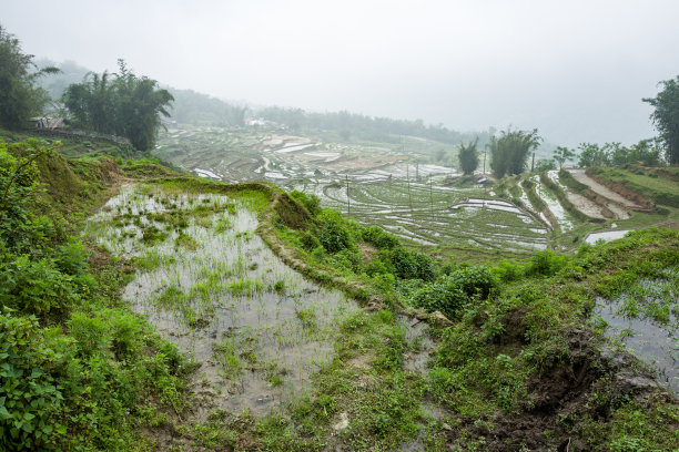 农村环境治理