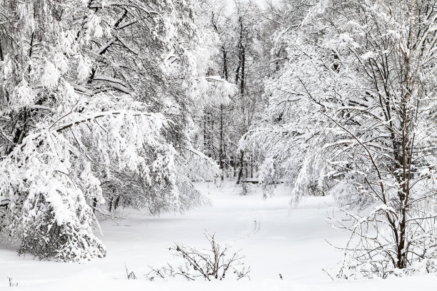 深雪