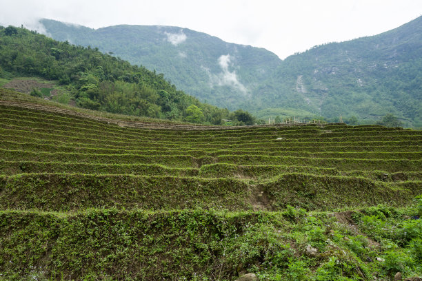 田野山村