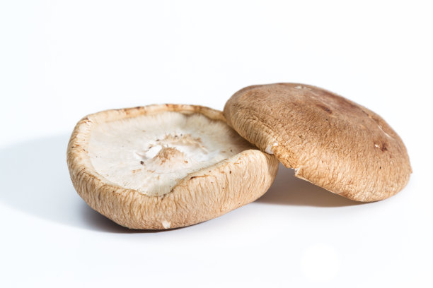 波托贝洛蘑菇