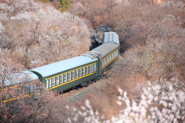 城际车