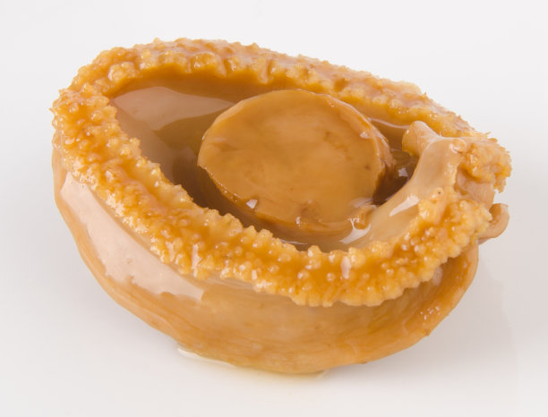 abalone