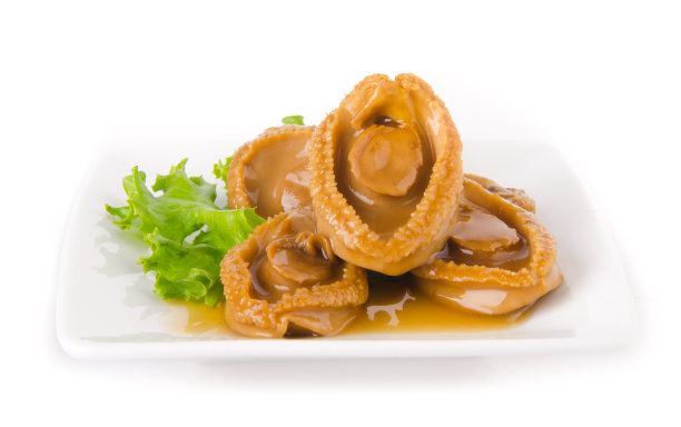 abalone