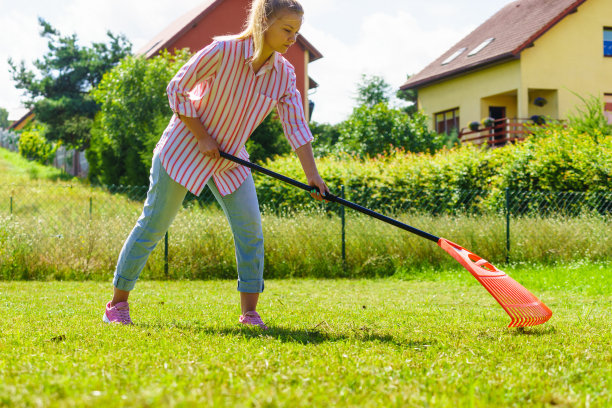 rake