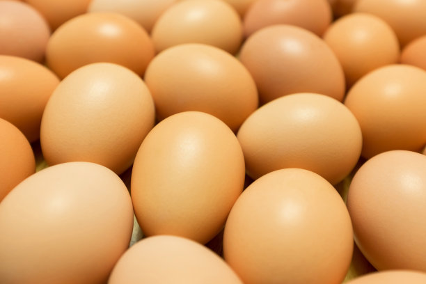 市场鸡蛋