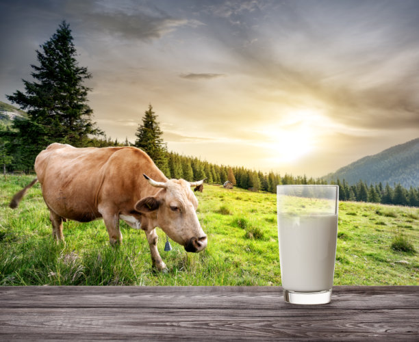 茶色玻璃图片大全 茶色玻璃设计素材 茶色玻璃模板下载 茶色玻璃图库 昵图网soso Nipic Com