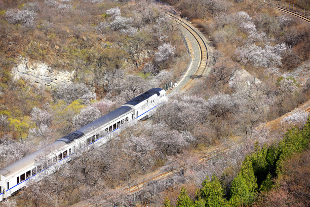 城际车