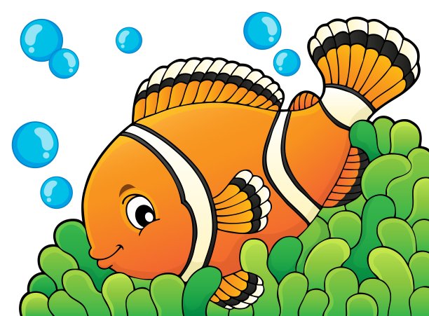 anemonefish