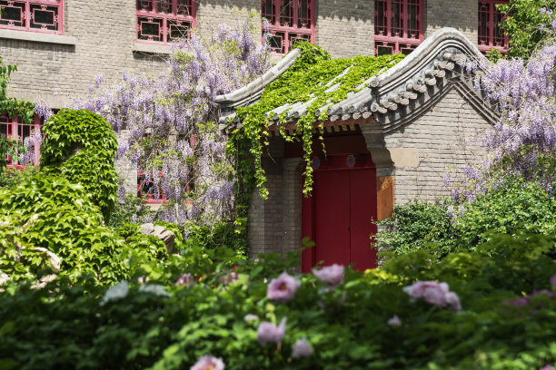 北京大学景点