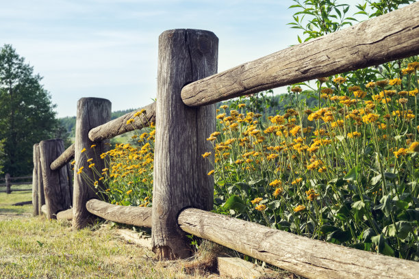 fence