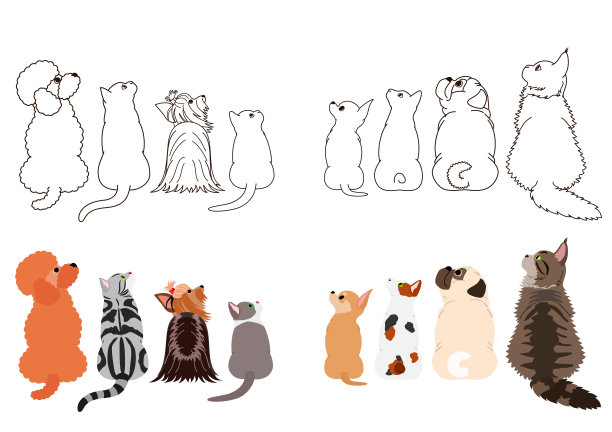 宠物猫宠物狗宠物店