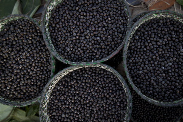 acai