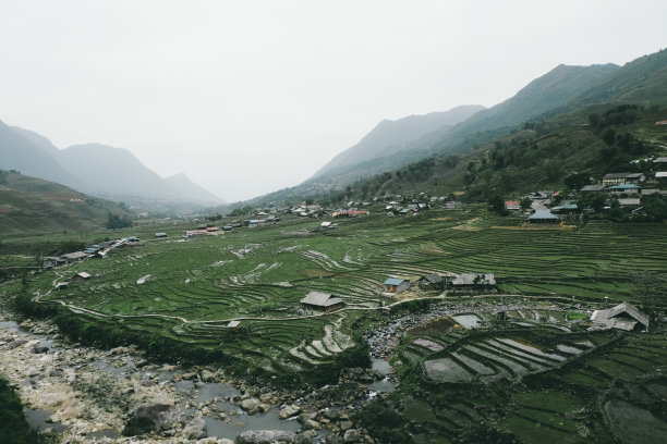 小区绿化管理制度