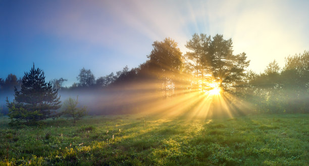 sunbeams