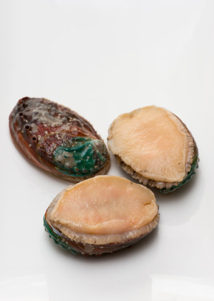 abalone