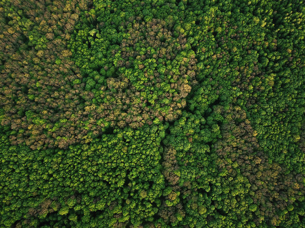 aerial