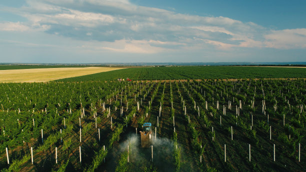 摩尔多瓦共和国