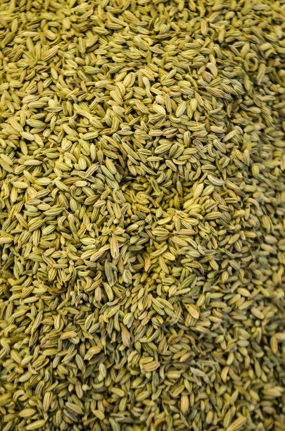 fennel