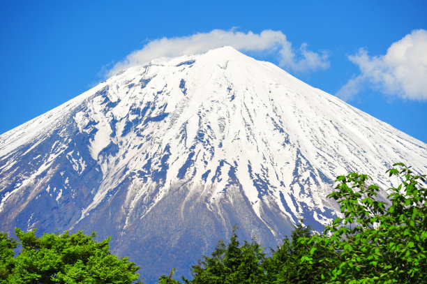 fuji