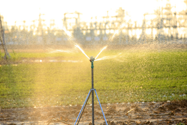 irrigation