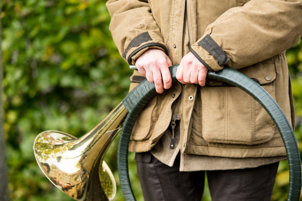 horns