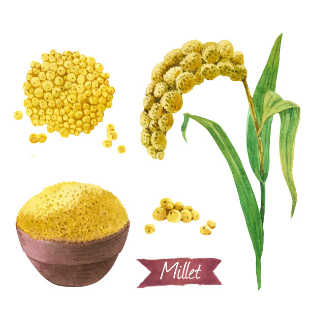 millet