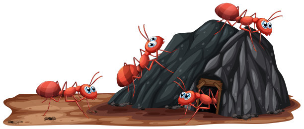 蚂蚁家族