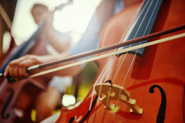 violin