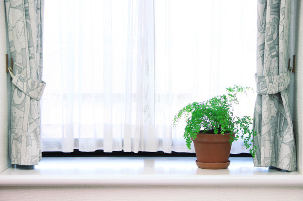 夏季运动会秋季运动会