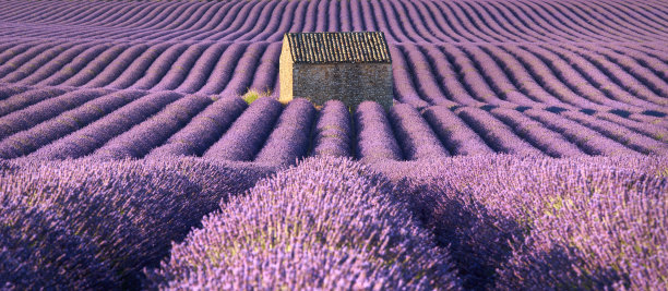 provence